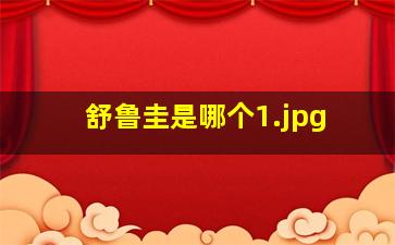 舒鲁圭是哪个