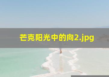 芒克阳光中的向