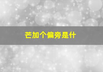 芒加个偏旁是什