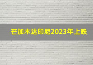 芒加木达印尼2023年上映