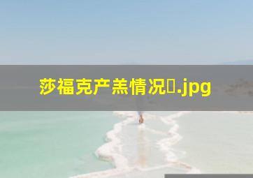 莎福克产羔情况�