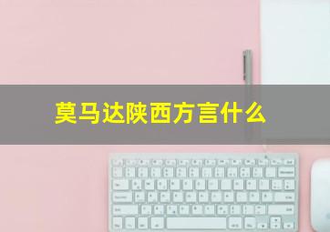 莫马达陕西方言什么