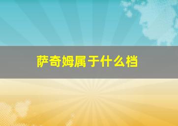 萨奇姆属于什么档