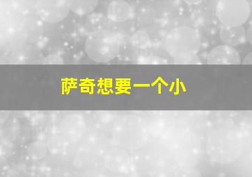 萨奇想要一个小
