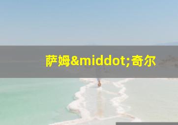 萨姆·奇尔