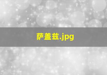 萨盖兹