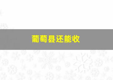 葡萄县还能收