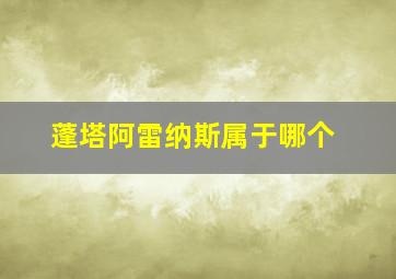 蓬塔阿雷纳斯属于哪个