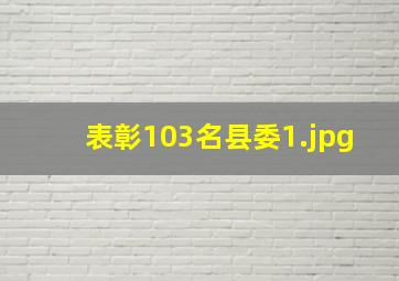 表彰103名县委