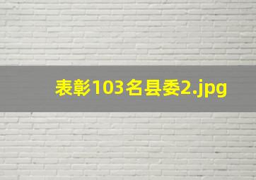 表彰103名县委