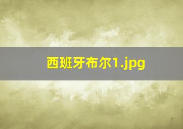 西班牙布尔