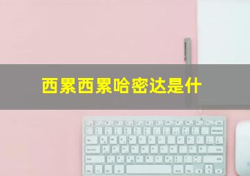 西累西累哈密达是什