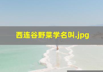 西连谷野菜学名叫