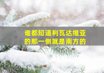 谁都知道利瓦达维亚的那一侧就是南方的