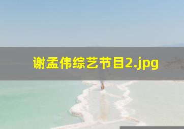 谢孟伟综艺节目