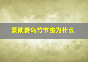 豪勋爵岛竹节虫为什么
