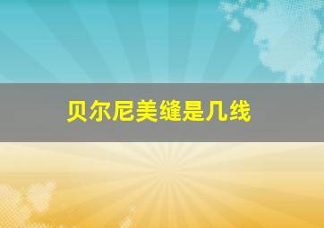 贝尔尼美缝是几线