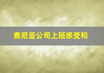 费尼亚公司上班感受和