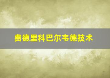 费德里科巴尔韦德技术