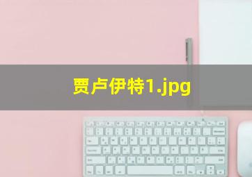 贾卢伊特
