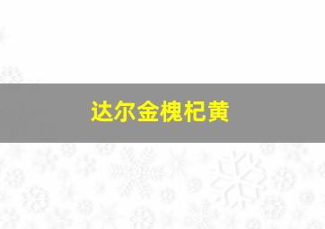 达尔金槐杞黄