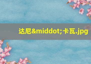 达尼·卡瓦