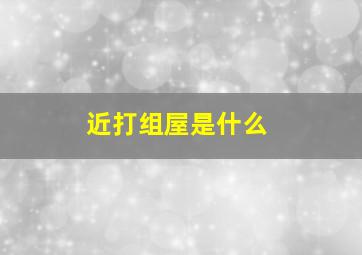近打组屋是什么