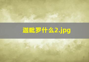 迦毗罗什么