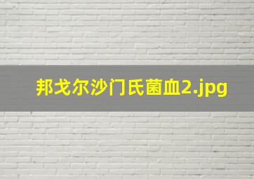 邦戈尔沙门氏菌血