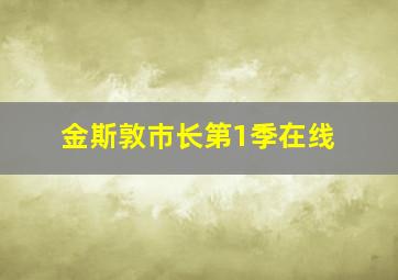 金斯敦巿长第1季在线