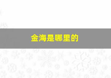 金海是哪里的