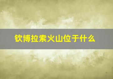 钦博拉索火山位于什么