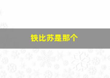 铁比苏是那个
