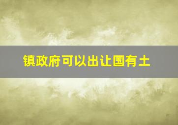 镇政府可以出让国有土