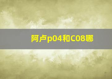 阿卢p04和C08哪
