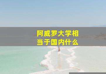阿威罗大学相当于国内什么