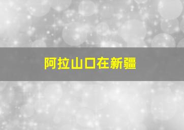 阿拉山口在新疆