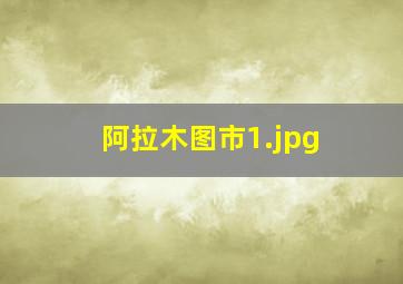 阿拉木图市