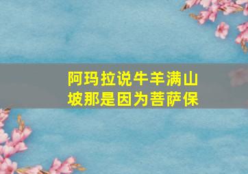 阿玛拉说牛羊满山坡那是因为菩萨保