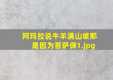 阿玛拉说牛羊满山坡那是因为菩萨保