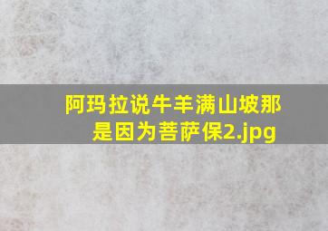 阿玛拉说牛羊满山坡那是因为菩萨保