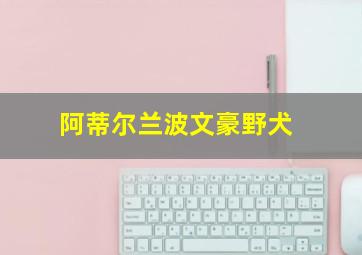 阿蒂尔兰波文豪野犬