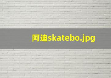 阿迪skatebo