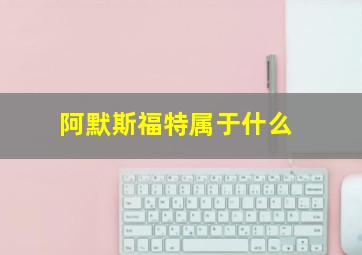 阿默斯福特属于什么