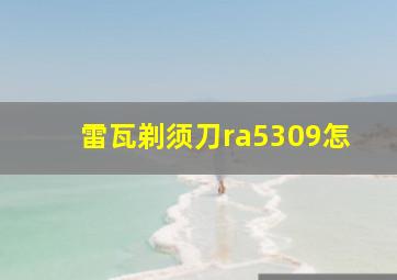 雷瓦剃须刀ra5309怎