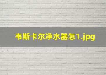 韦斯卡尔净水器怎