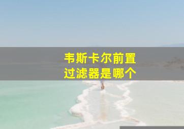 韦斯卡尔前置过滤器是哪个