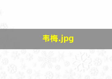 韦梅