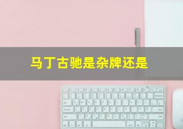 马丁古驰是杂牌还是