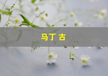 马丁 古